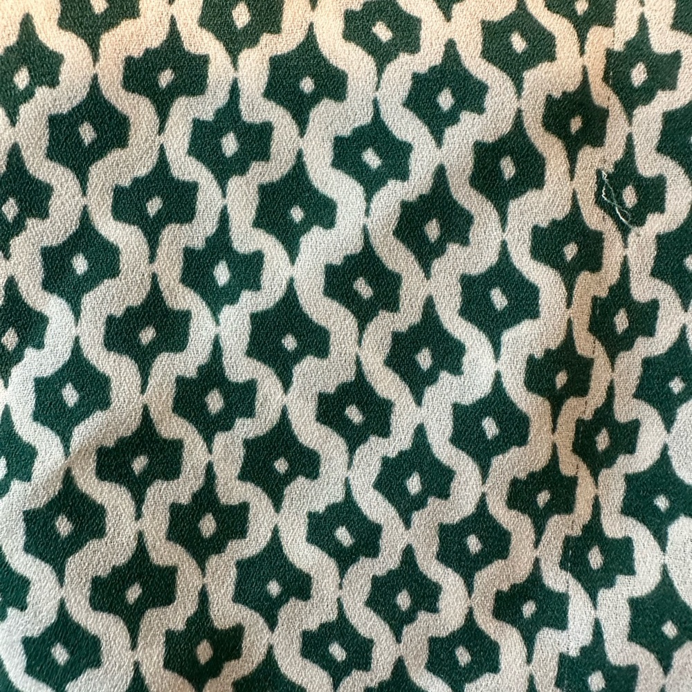 Banana Republic Factory Green/White Dress Shirt View 6